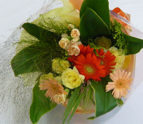 ����ԁ@���ԉԑ�/�G�߂̂��Ԃ̂��܂����u�[�P�@�r�^�~���J���[